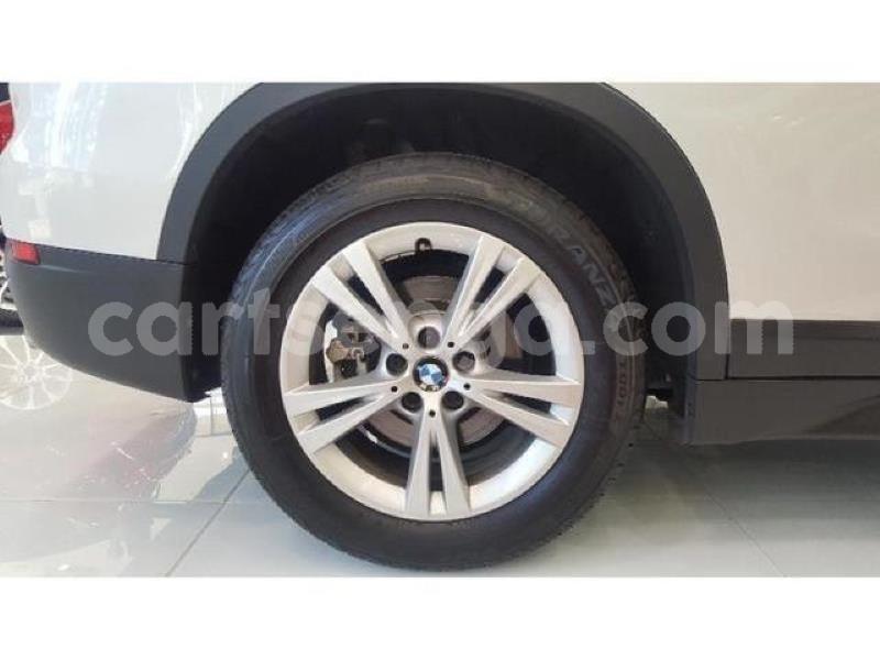 Big with watermark crop800x600 2019 08 19t120228.844