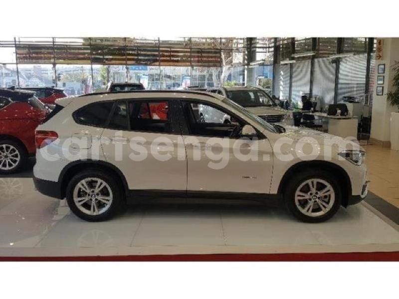 Big with watermark crop800x600 2019 08 19t120218.912