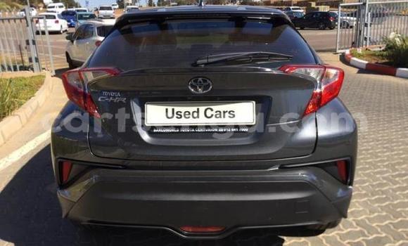 Acheter Occasion Voiture Toyota C-HR Autre à Bhunya, Manzini Acheter Occasion Voiture Toyota C-HR Autre à Bhunya, Manzini