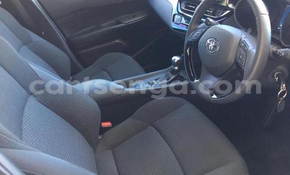 Acheter Occasion Voiture Toyota C-HR Autre à Bhunya, Manzini Acheter Occasion Voiture Toyota C-HR Autre à Bhunya, Manzini