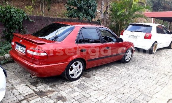 Buy Used Toyota Corolla Red Car in Hlatikulu in Shiselweni District Buy Used Toyota Corolla Red Car in Hlatikulu in Shiselweni District