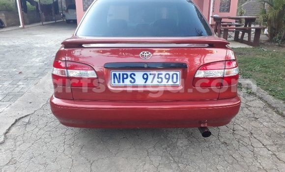 Buy Used Toyota Corolla Red Car in Hlatikulu in Shiselweni District Buy Used Toyota Corolla Red Car in Hlatikulu in Shiselweni District