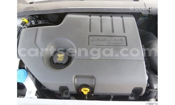 Acheter Import Voiture Jaguar E-Pace Blanc à Import - Dubai, Hhohho Acheter Import Voiture Jaguar E-Pace Blanc à Import - Dubai, Hhohho