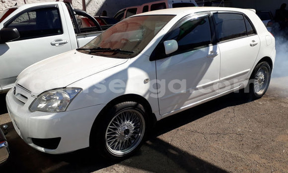 Nunua Ilio tumika Toyota Runx White Gari ndani ya Ezulwini nchini Hhohho Nunua Ilio tumika Toyota Runx White Gari ndani ya Ezulwini nchini Hhohho