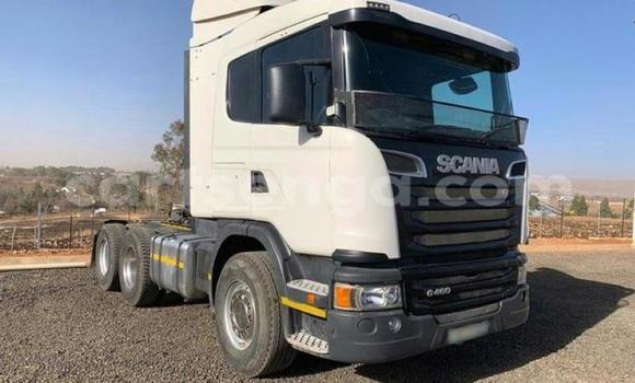 Acheter Occasion Utilitaire Scania R420 Blanc à Hlatikulu, Shiselweni District Acheter Occasion Utilitaire Scania R420 Blanc à Hlatikulu, Shiselweni District