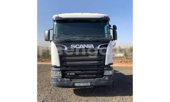 Acheter Occasion Utilitaire Scania R420 Blanc à Hlatikulu, Shiselweni District Acheter Occasion Utilitaire Scania R420 Blanc à Hlatikulu, Shiselweni District