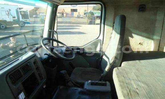 Buy Used Renault Trafic White Truck in Hlatikulu in Shiselweni District Buy Used Renault Trafic White Truck in Hlatikulu in Shiselweni District