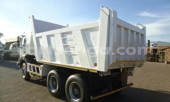 Buy Used Renault Trafic White Truck in Hlatikulu in Shiselweni District Buy Used Renault Trafic White Truck in Hlatikulu in Shiselweni District