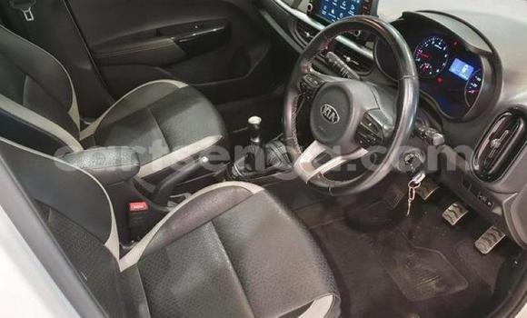 Acheter Occasion Voiture Kia Picanto Blanc à Mbabane, Manzini Acheter Occasion Voiture Kia Picanto Blanc à Mbabane, Manzini