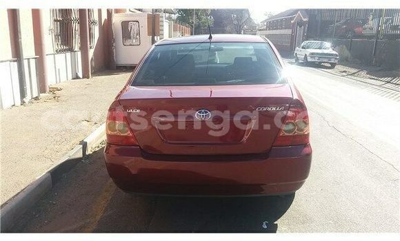 Nunua Ilio tumika Toyota Corolla Red Gari ndani ya Bulembu nchini Hhohho Nunua Ilio tumika Toyota Corolla Red Gari ndani ya Bulembu nchini Hhohho