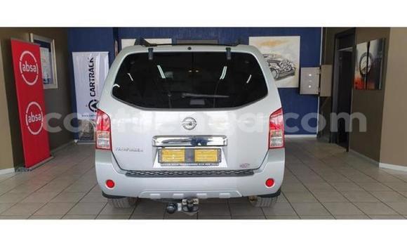 Acheter Occasion Voiture Nissan Pathfinder Gris à Manzini, Manzini Acheter Occasion Voiture Nissan Pathfinder Gris à Manzini, Manzini