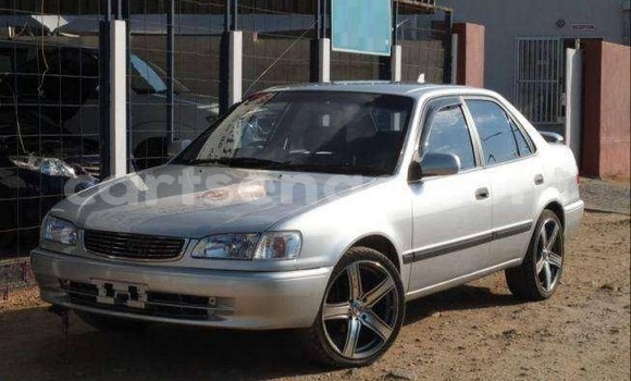 Buy Used Toyota Corolla Silver Car in Ezulwini in Hhohho Buy Used Toyota Corolla Silver Car in Ezulwini in Hhohho