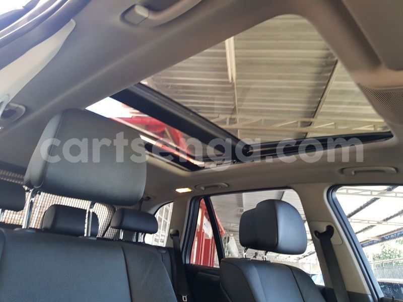 Big with watermark 11