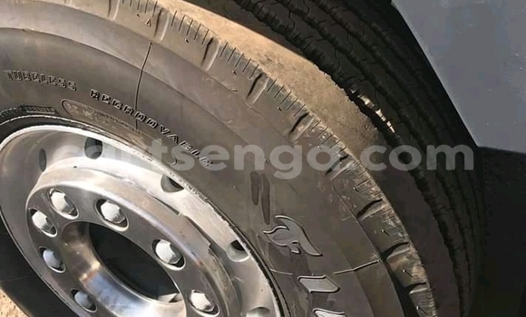 Acheter Occasion Utilitaire Volvo F4 Blanc à Bhunya, Manzini Acheter Occasion Utilitaire Volvo F4 Blanc à Bhunya, Manzini