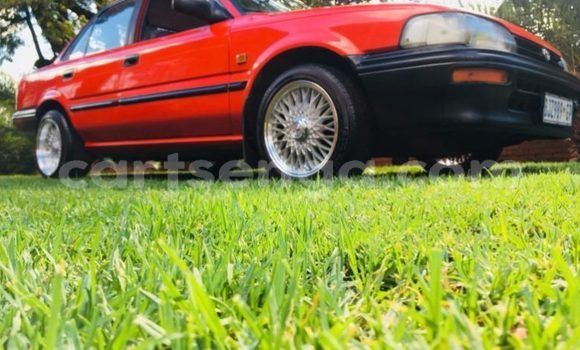 Buy Used Toyota Corolla Red Car in Mbabane in Manzini Buy Used Toyota Corolla Red Car in Mbabane in Manzini