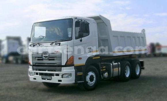Buy Used Hino 300 Series White Truck in Big Bend in Lubombo Buy Used Hino 300 Series White Truck in Big Bend in Lubombo