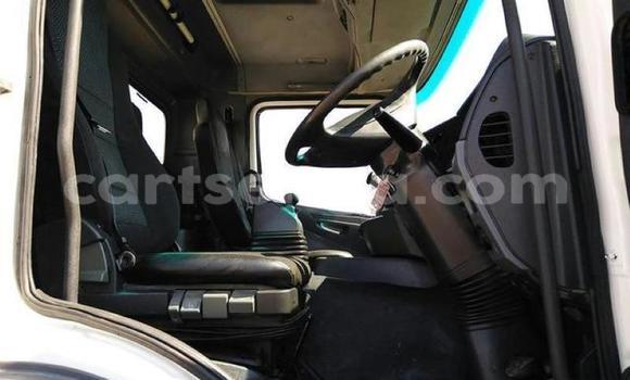 Buy Used Mercedes‒Benz 1520 Other Truck in Big Bend in Lubombo Buy Used Mercedes‒Benz 1520 Other Truck in Big Bend in Lubombo