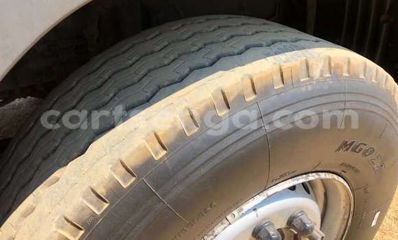 Buy Used Scania R420 White Truck in Big Bend in Lubombo District Buy Used Scania R420 White Truck in Big Bend in Lubombo District