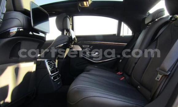 Buy Used Mercedes‒Benz C-klasse AMG White Car in Big Bend in Lubombo Buy Used Mercedes‒Benz C-klasse AMG White Car in Big Bend in Lubombo