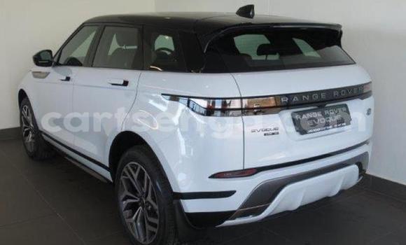 Buy Import Land Rover Range Rover Evoque White Car in Big Bend in Lubombo District Buy Import Land Rover Range Rover Evoque White Car in Big Bend in Lubombo District