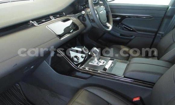 Buy Import Land Rover Range Rover Evoque White Car in Big Bend in Lubombo District Buy Import Land Rover Range Rover Evoque White Car in Big Bend in Lubombo District