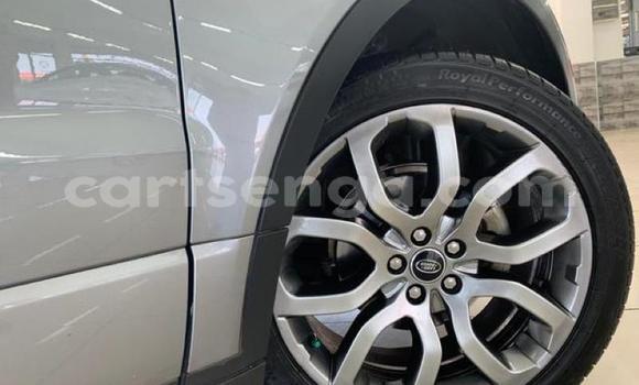 Acheter Occasion Voiture Land Rover Range Rover Evoque Gris à Big Bend, Lubombo Acheter Occasion Voiture Land Rover Range Rover Evoque Gris à Big Bend, Lubombo