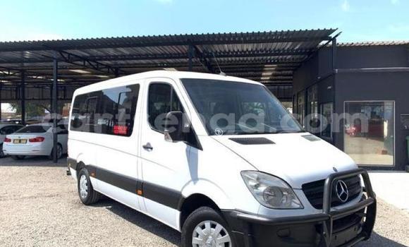 Buy Used Mercedes Viano Other Car in Big Bend in Lubombo