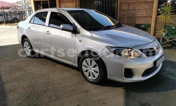 Buy Used Toyota Corolla Silver Car in Manzini in Manzini Buy Used Toyota Corolla Silver Car in Manzini in Manzini