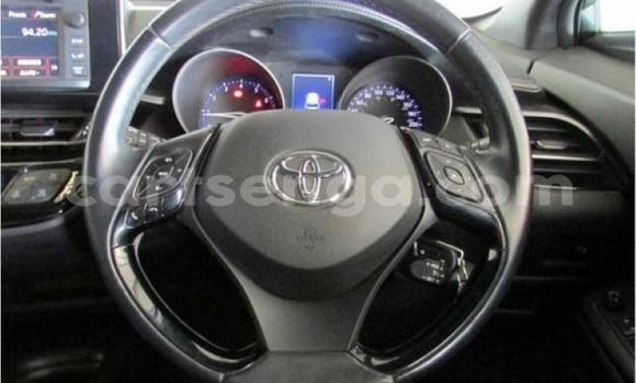 Buy Used Toyota C-HR White Car in Mbabane in Manzini Buy Used Toyota C-HR White Car in Mbabane in Manzini