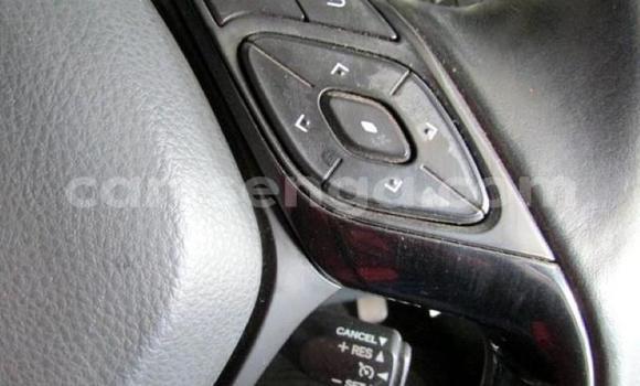 Buy Used Toyota C-HR White Car in Mbabane in Manzini Buy Used Toyota C-HR White Car in Mbabane in Manzini