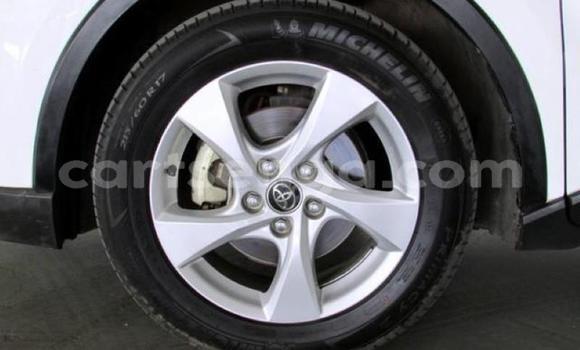 Buy Used Toyota C-HR White Car in Mbabane in Manzini Buy Used Toyota C-HR White Car in Mbabane in Manzini