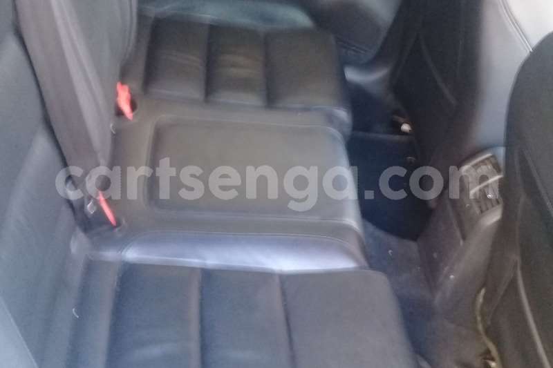 Big with watermark 6