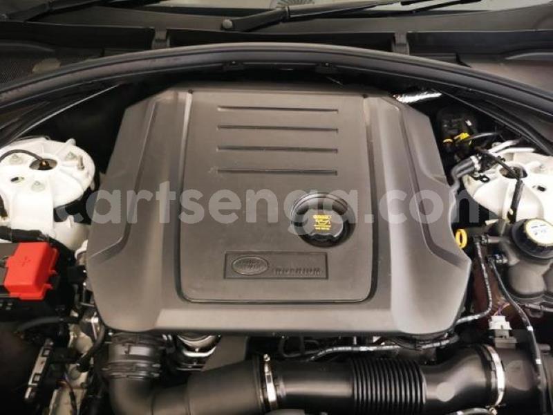 Big with watermark crop800x600 6 