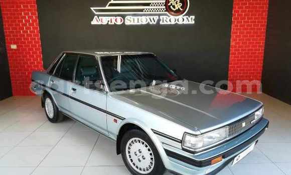 Nunua Ilio tumika Toyota Cressida Blue Gari ndani ya Hlatikulu nchini Wilaya ya Shiselweni Nunua Ilio tumika Toyota Cressida Blue Gari ndani ya Hlatikulu nchini Wilaya ya Shiselweni