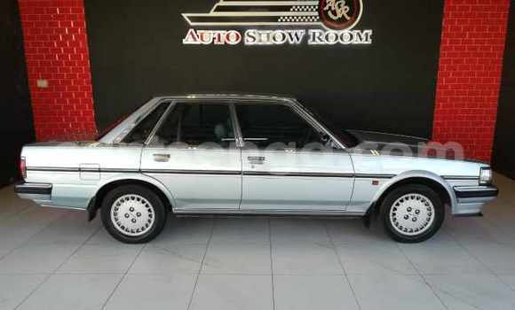 Nunua Ilio tumika Toyota Cressida Blue Gari ndani ya Hlatikulu nchini Wilaya ya Shiselweni Nunua Ilio tumika Toyota Cressida Blue Gari ndani ya Hlatikulu nchini Wilaya ya Shiselweni