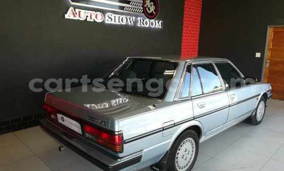 Nunua Ilio tumika Toyota Cressida Blue Gari ndani ya Hlatikulu nchini Wilaya ya Shiselweni Nunua Ilio tumika Toyota Cressida Blue Gari ndani ya Hlatikulu nchini Wilaya ya Shiselweni