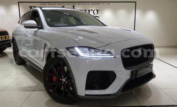 Buy Used Jaguar F-Pace White Car in Ezulwini in Hhohho