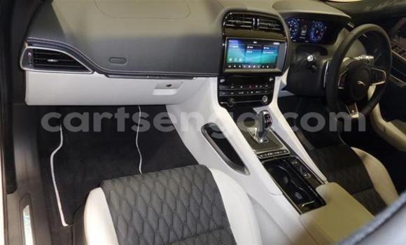 Nunua Ilio tumika Jaguar F-Pace White Gari ndani ya Ezulwini nchini Hhohho Nunua Ilio tumika Jaguar F-Pace White Gari ndani ya Ezulwini nchini Hhohho