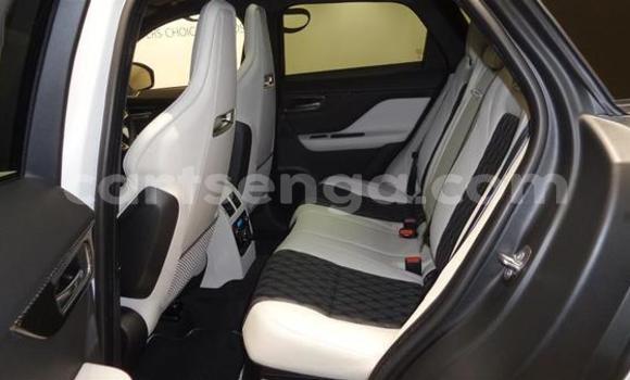 Nunua Ilio tumika Jaguar F-Pace White Gari ndani ya Ezulwini nchini Hhohho Nunua Ilio tumika Jaguar F-Pace White Gari ndani ya Ezulwini nchini Hhohho