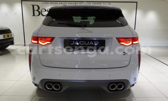 Nunua Ilio tumika Jaguar F-Pace White Gari ndani ya Ezulwini nchini Hhohho Nunua Ilio tumika Jaguar F-Pace White Gari ndani ya Ezulwini nchini Hhohho