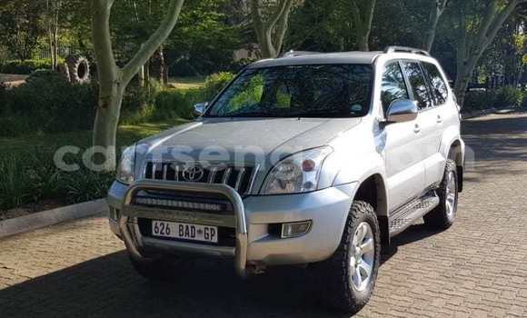 Buy Used Toyota Prado Silver Car in Hlatikulu in Shiselweni District Buy Used Toyota Prado Silver Car in Hlatikulu in Shiselweni District