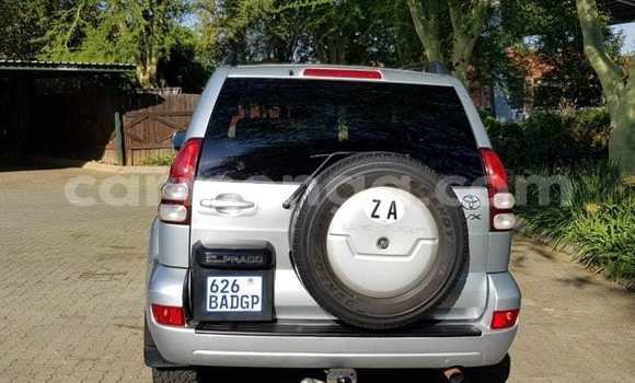 Buy Used Toyota Prado Silver Car in Hlatikulu in Shiselweni District Buy Used Toyota Prado Silver Car in Hlatikulu in Shiselweni District