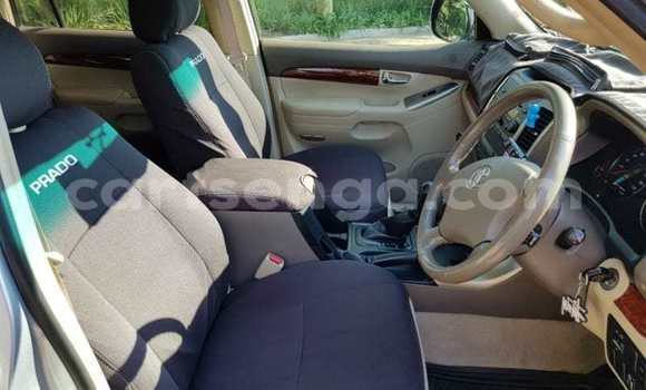 Buy Used Toyota Prado Silver Car in Hlatikulu in Shiselweni District Buy Used Toyota Prado Silver Car in Hlatikulu in Shiselweni District