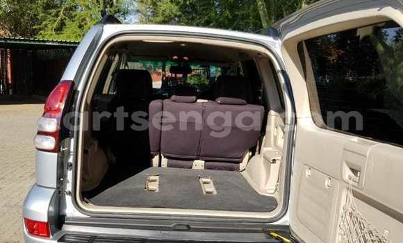 Buy Used Toyota Prado Silver Car in Hlatikulu in Shiselweni District Buy Used Toyota Prado Silver Car in Hlatikulu in Shiselweni District