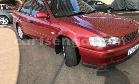Buy Used Toyota Corolla Other Car in Hlatikulu in Shiselweni District Buy Used Toyota Corolla Other Car in Hlatikulu in Shiselweni District