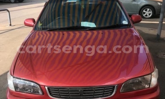 Buy Used Toyota Corolla Other Car in Hlatikulu in Shiselweni District Buy Used Toyota Corolla Other Car in Hlatikulu in Shiselweni District