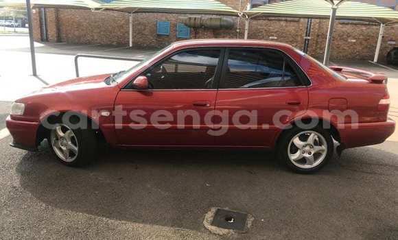 Buy Used Toyota Corolla Other Car in Hlatikulu in Shiselweni District Buy Used Toyota Corolla Other Car in Hlatikulu in Shiselweni District