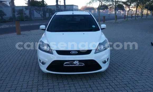 Buy Used Ford Focus White Car in Hlatikulu in Shiselweni District Buy Used Ford Focus White Car in Hlatikulu in Shiselweni District