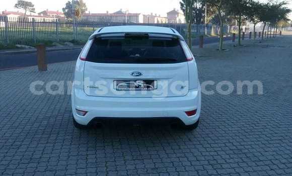 Buy Used Ford Focus White Car in Hlatikulu in Shiselweni District Buy Used Ford Focus White Car in Hlatikulu in Shiselweni District