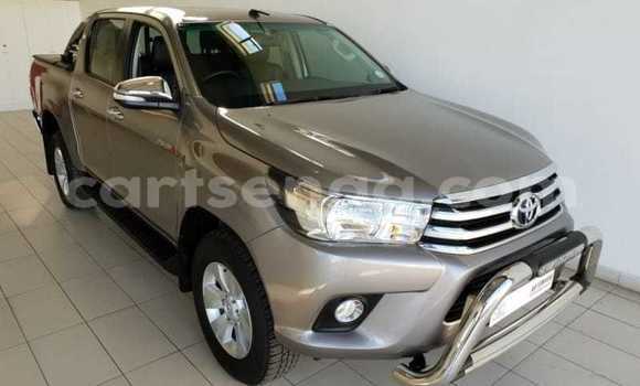 Buy Used Toyota Hilux Silver Car in Hlatikulu in Shiselweni District Buy Used Toyota Hilux Silver Car in Hlatikulu in Shiselweni District